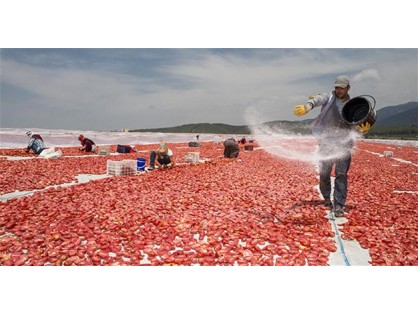 Turkey may need to take reciprocal measures against Russia’s restrictions on imports of tomatoes and other produces, Economy Minister Nihat Zeybekci said on Aug. 9.